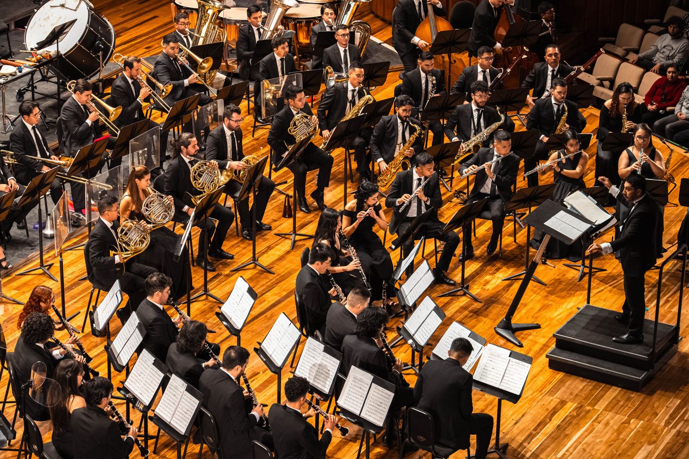 Banda Sinf&oacute;nica Nacional de Colombia en concierto