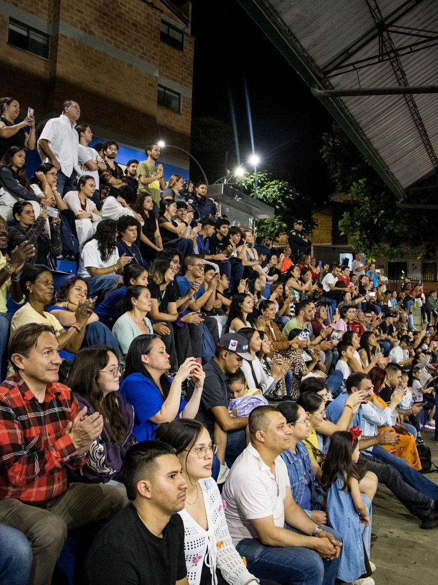 P&uacute;blico asistiendo a un concierto nocturno